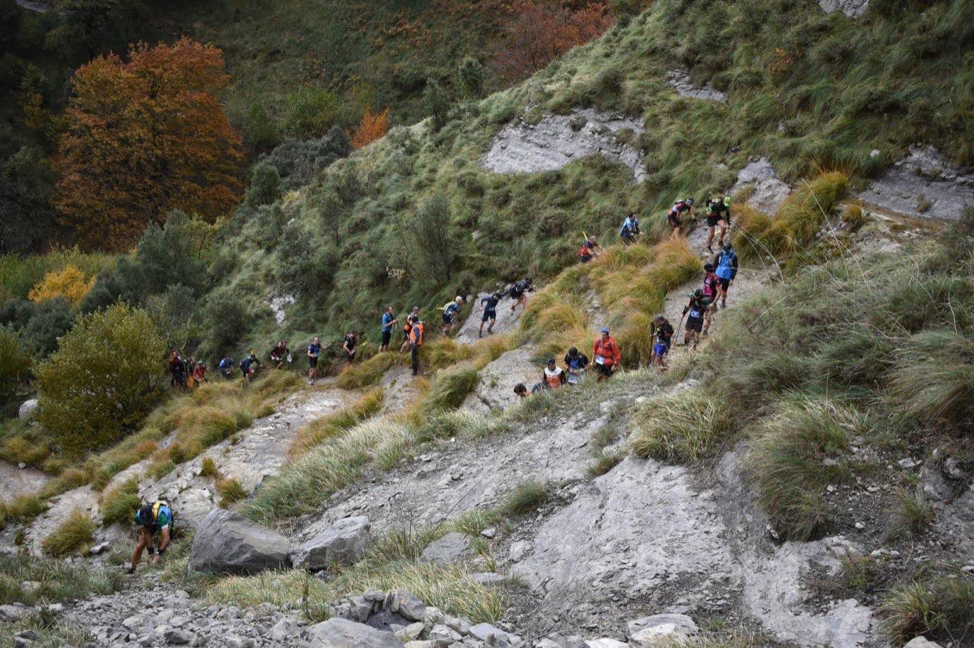 Mendiko paisaia goizaldean